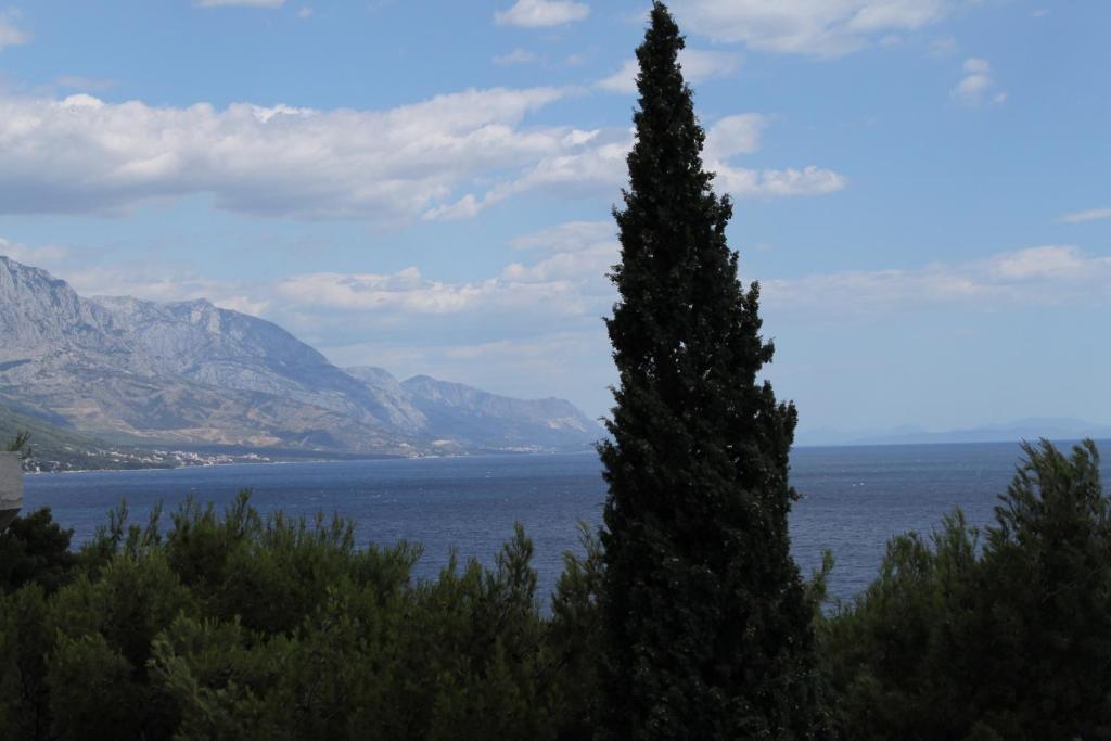 Fotografie z fotogalerie ubytování Apartments by the sea Pisak, Omis - 6897 v destinaci Mimice