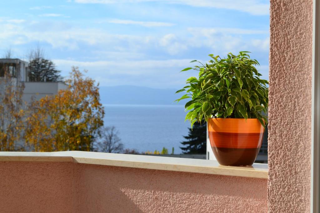 a potted plant sitting on a ledge on a balcony at Villa D&L in Ohrid