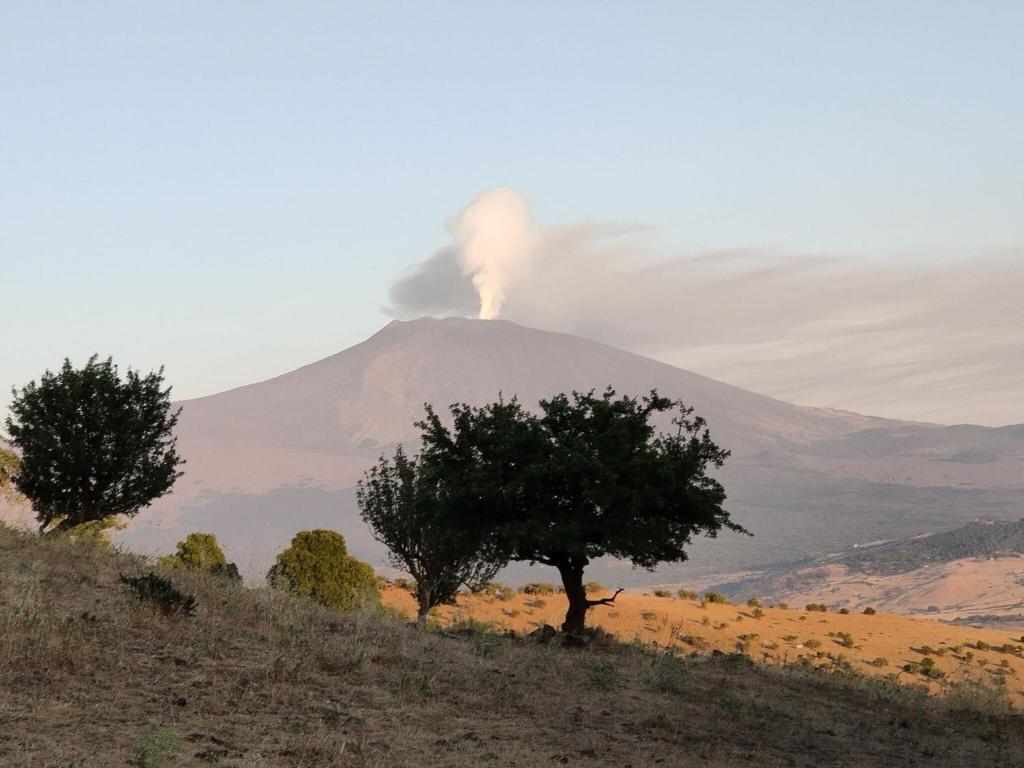 Fotografia z galérie ubytovania Belvilla by OYO Casa Otaiti v destinácii Maniace