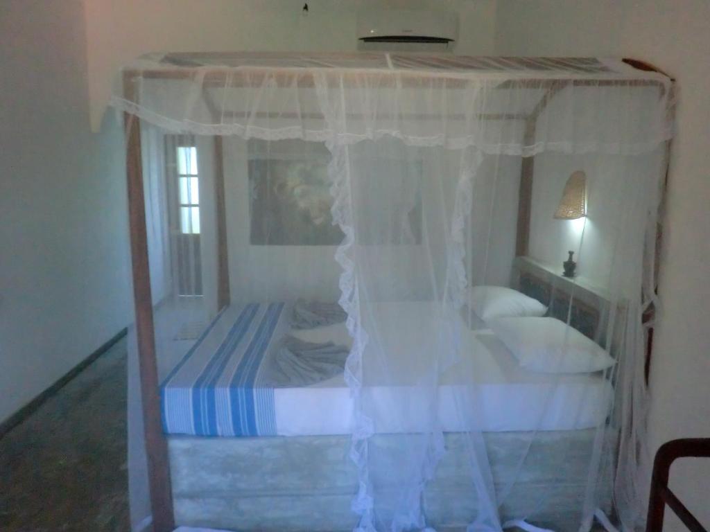 Peacock Wings Guest - 5