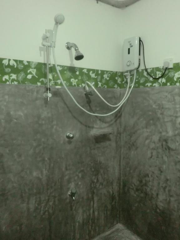 Peacock Wings Guest - 10