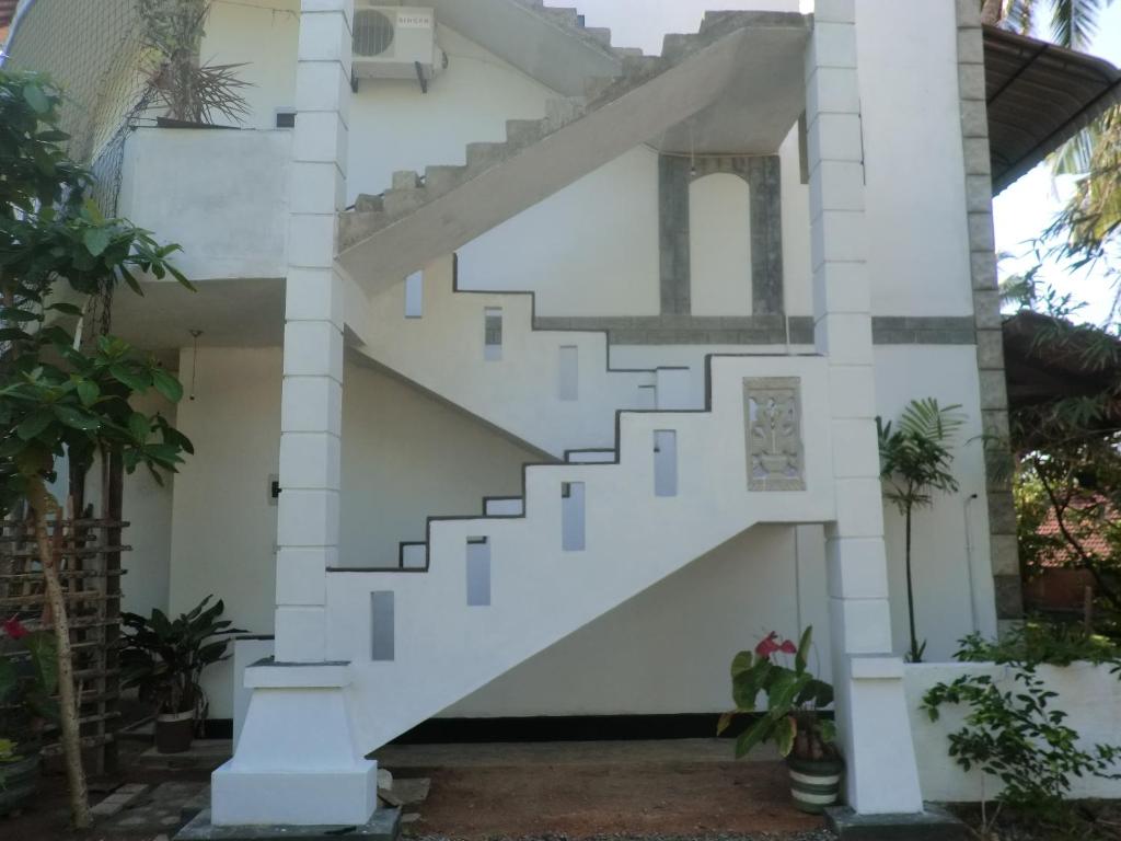 Peacock Wings Guest - 12