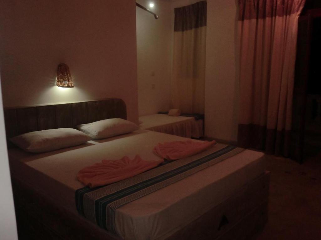 Peacock Wings Guest - 13