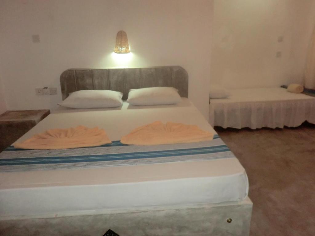 Peacock Wings Guest - 17