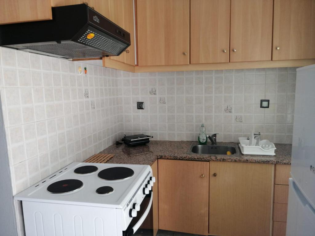 A kitchen or kitchenette at Alexander Apartments Nea Koutali