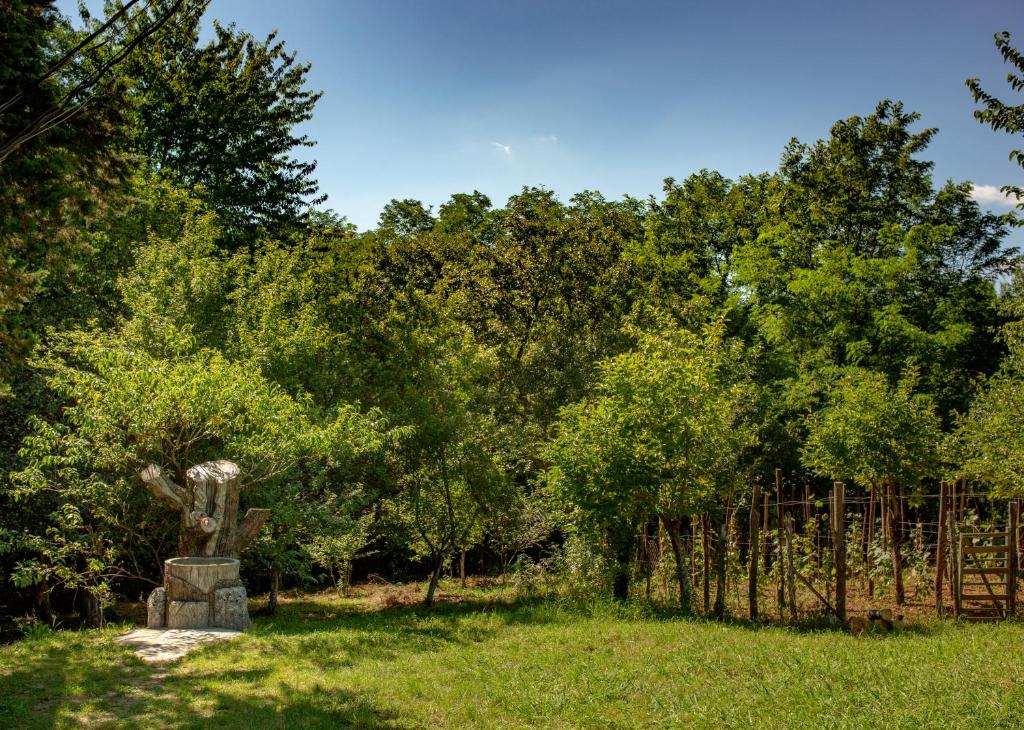 Zahrada ubytování Eco Cottage
