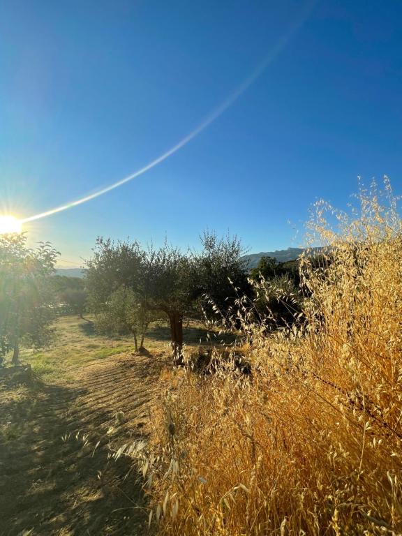Area Campeggio Masusà