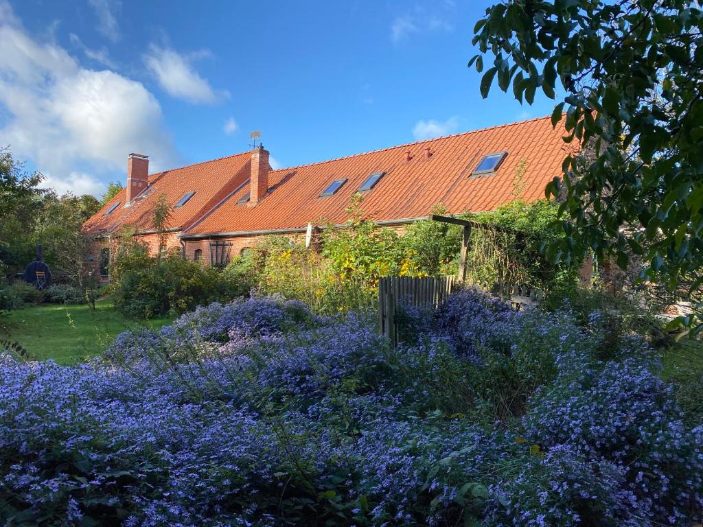 Privelacker Paradiesgarten : منزل أمامه حديقة بها زهور أرجوانية