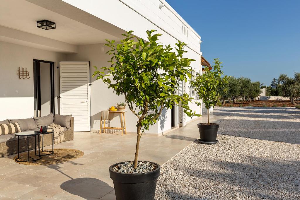 Vonkajšia záhrada v ubytovaní Vilaa Isa Beautiful Villa and trullo in Ostuni