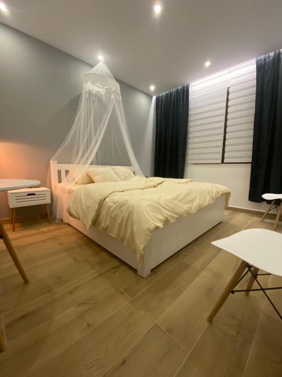 a bedroom with a bed with a mosquito net at Intimate Inn in Arad