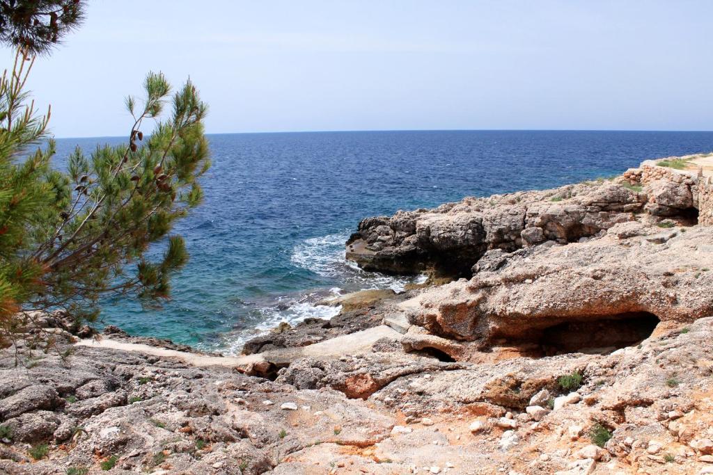 Fotografia z galérie ubytovania Apartments by the sea Sveta Nedilja, Hvar - 8725 v destinácii Sveta Nedelja