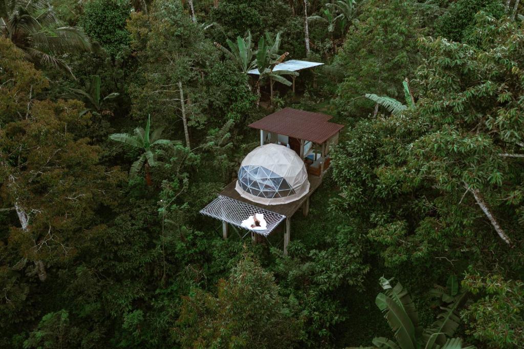 eine Aussicht über einen Pavillon im Wald in der Unterkunft Bali Jungle Camping by Amerta Experience in Tabanan
