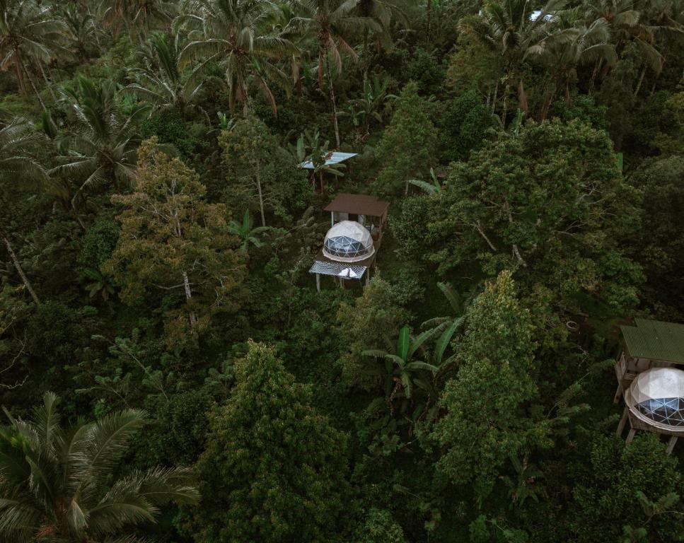 Bali Jungle Camping, Tabanan – Tarifs 2023