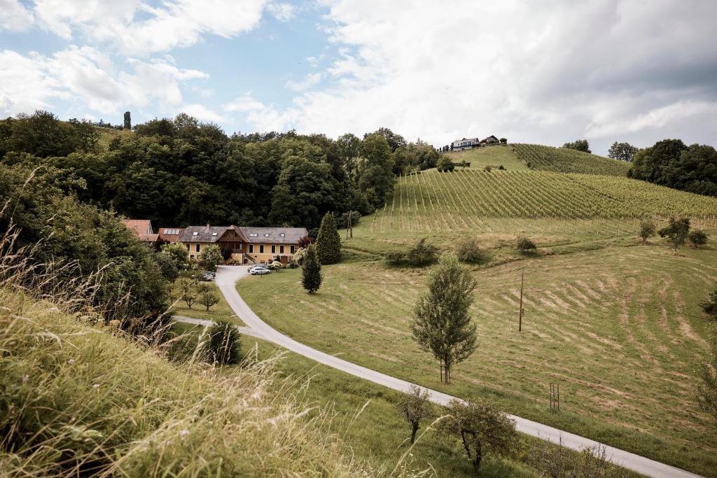 a road in a field with a house on a hill w obiekcie Bio Weingut Matthias Schnabl w mieście Gamlitz