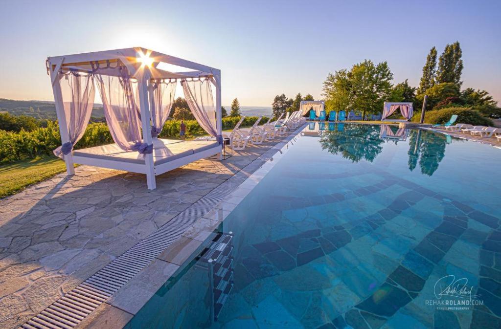 uma piscina com um gazebo junto à água em Dunai Panorámás Apartman Dunaszentmiklóson em Dunaszentmiklós