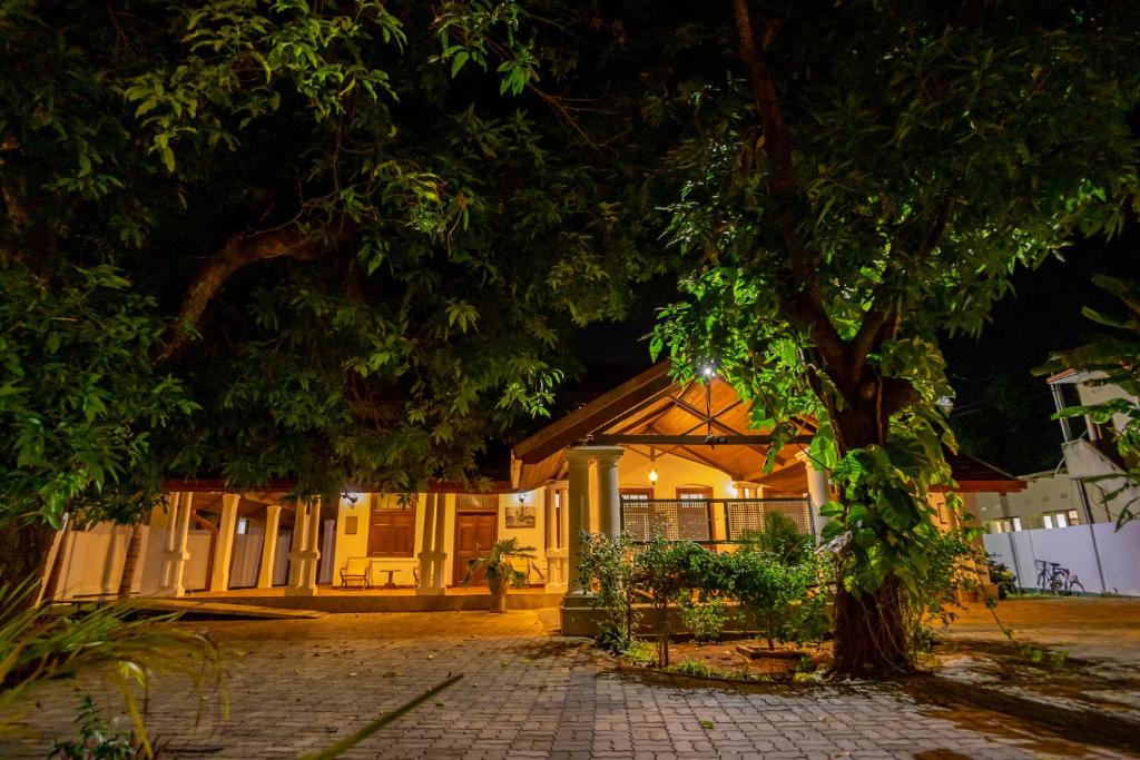 ジャフナにあるFlamingo Villaの前景の木のある夜の家