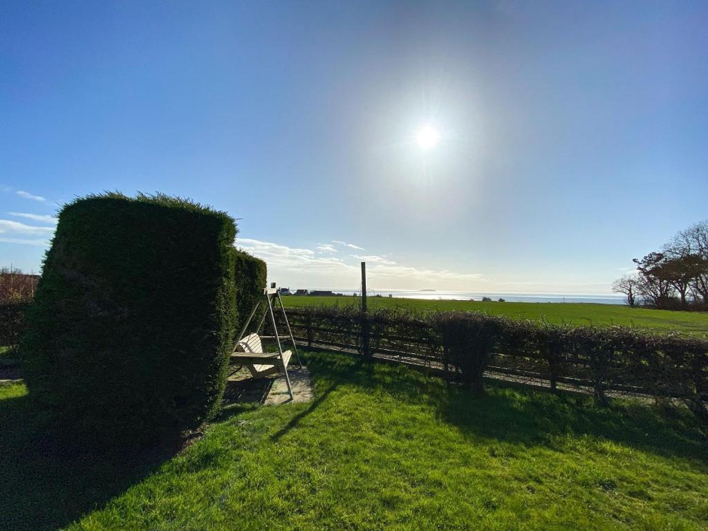 a bench sitting in the grass near a fence at May Isle in Crail