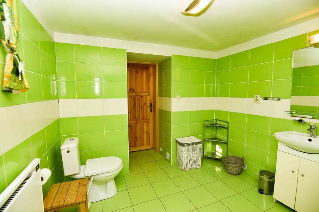 Koupelna v ubytování Chalupa pod Kralickým Sněžníkem