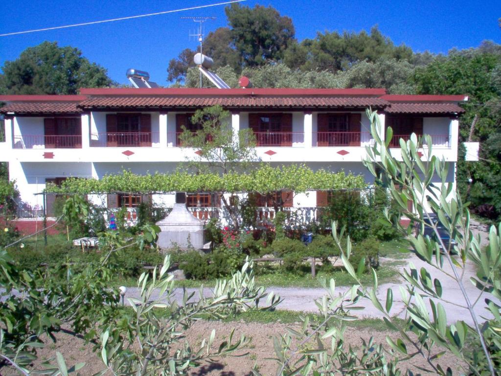 A garden outside Alexandros Studios