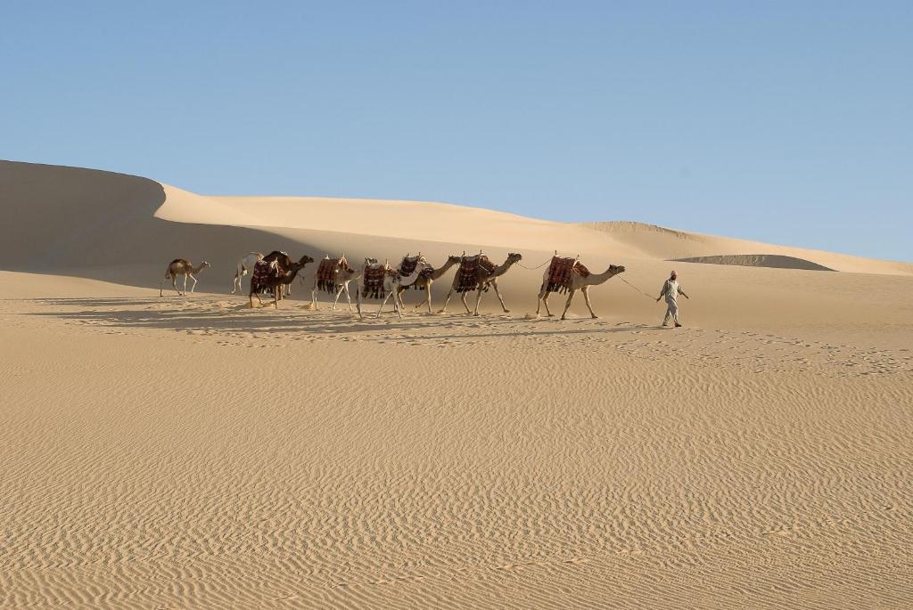 Hosté ubytování Taziry Ecolodge Siwa