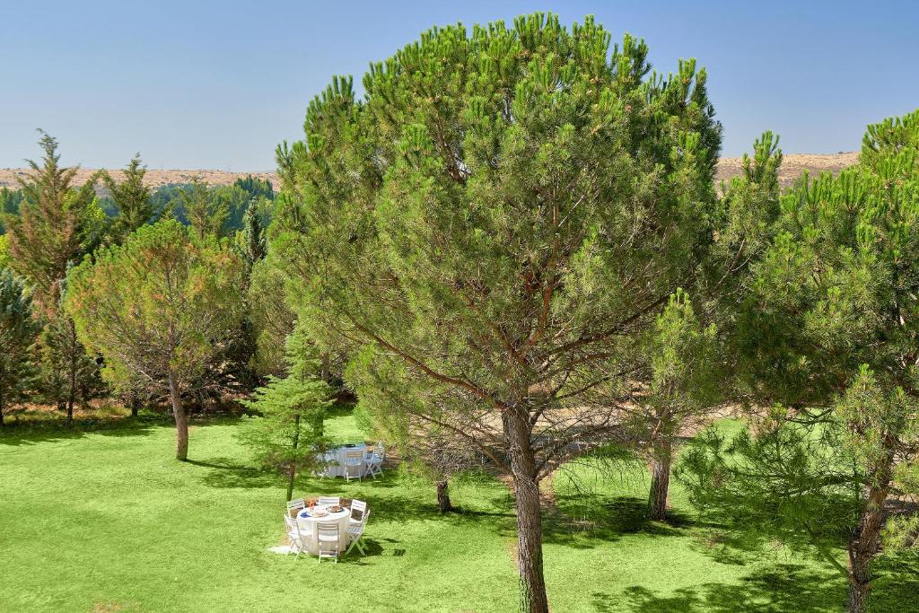 Jardín al aire libre en Hotel Fontecruz Ávila