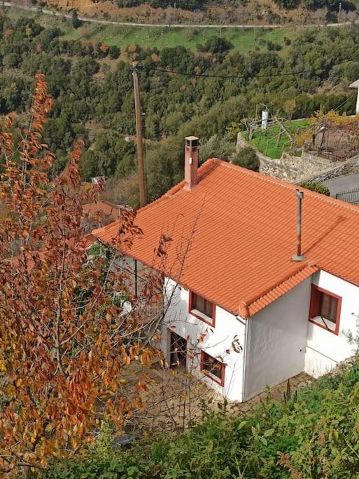 Magnolia Traditional Stone House in Vamvakou - Casa De Vacaciones