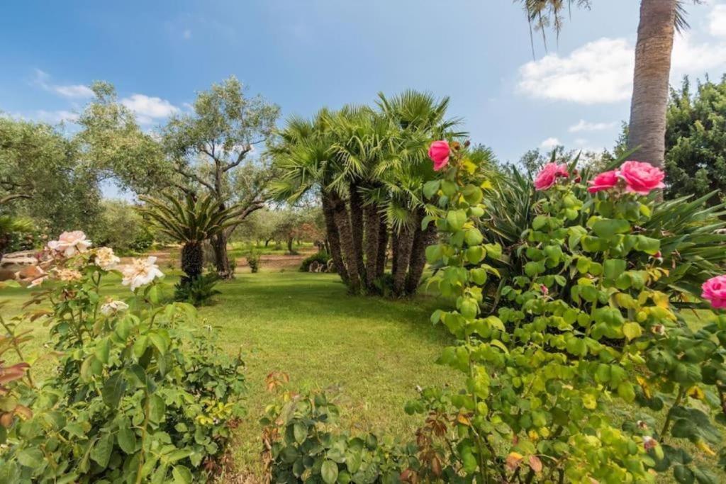 A garden outside villa con immenso giardino