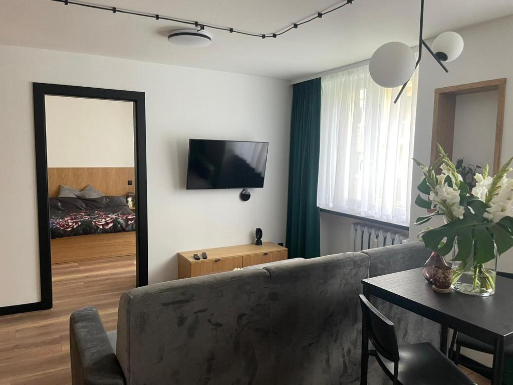 Televízia a/alebo spoločenská miestnosť v ubytovaní Apartamenty Nadrzeczna 14