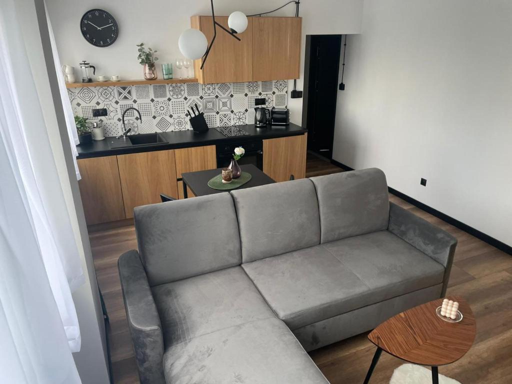 uma sala de estar com um sofá e uma cozinha em Apartamenty Nadrzeczna 14 em Karpacz