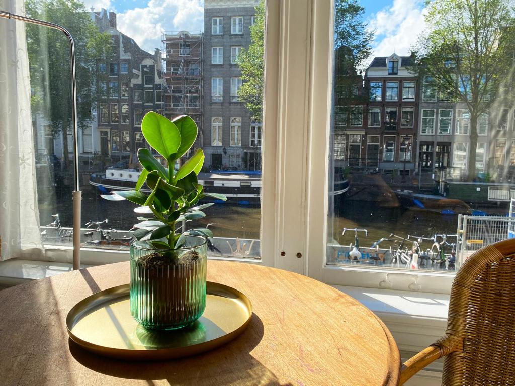 einem Tisch mit einer Pflanze in einer Vase auf einem Fenster in der Unterkunft Canal Hideaway in Amsterdam