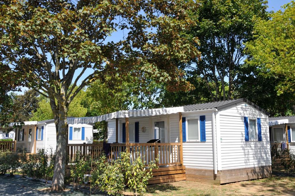 faltbare hängematte Hängematte Baumwolle faltbar 200 kg – Stabil mit Seilen für Garten, Balkon,  Terrasse und Camping – Zorenza