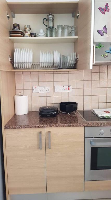 Kuchyň nebo kuchyňský kout v ubytování Andris apartment