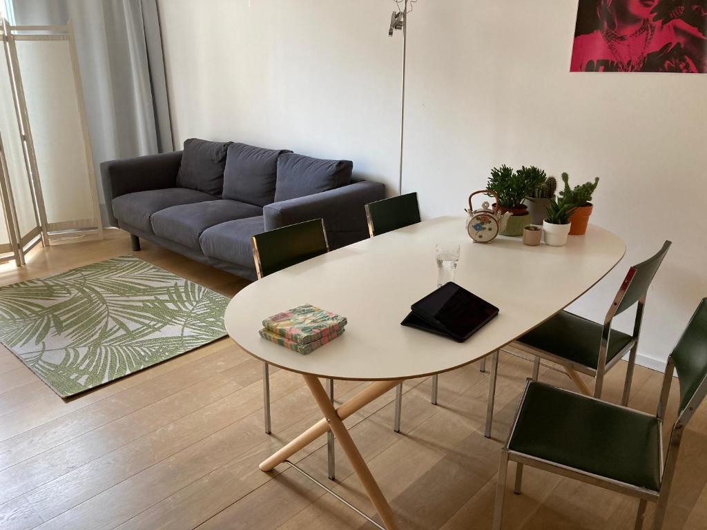 Renovated apartment with terrace Ghent South - Housity