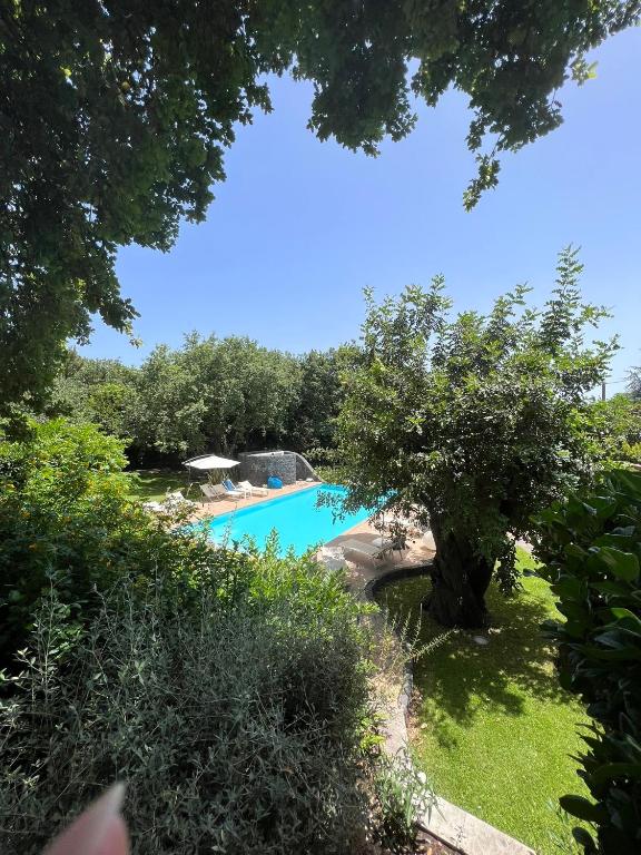 a swimming pool in a garden with a tree at Il carrubo in Trecastagni