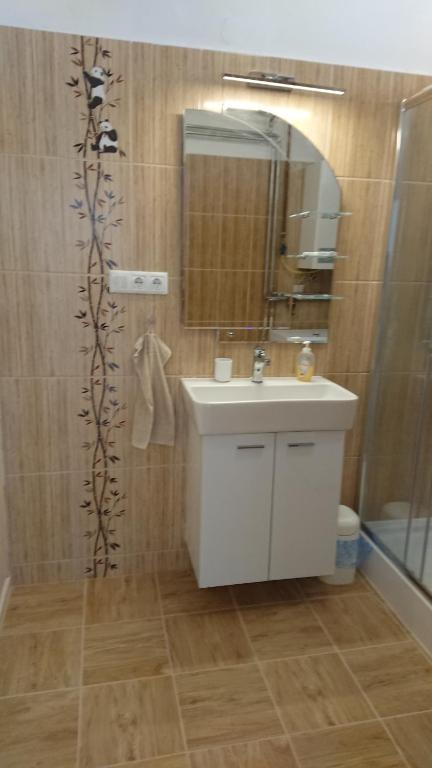 A bathroom at 100 lépés - 100 steps - Apt with huge terrace next to the thermal bath