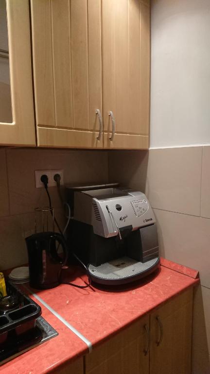 A kitchen or kitchenette at 100 lépés - 100 steps - Apt with huge terrace next to the thermal bath