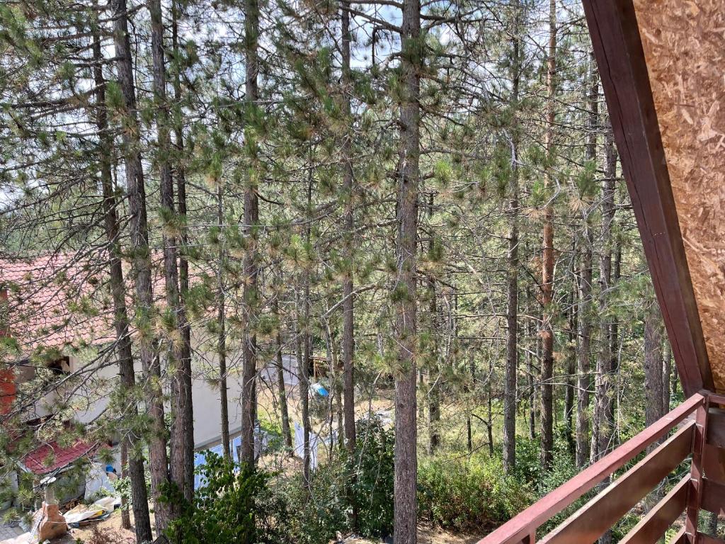 a view of the woods from the porch of a house at Smeštaj Nedić Karaula in Zlatibor