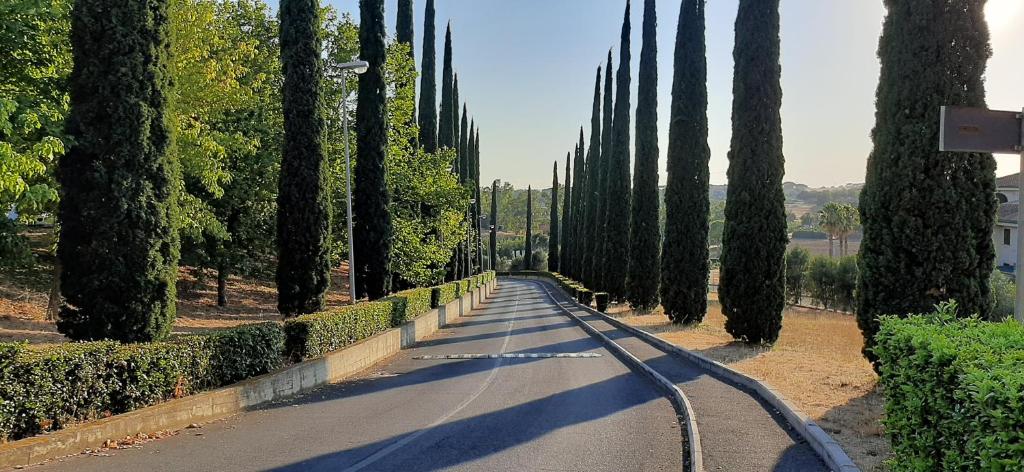 una carretera bordeada de cipreses en un parque en Villa Residence Golf Marco Simone, alloggio turistico, en Marco Simone
