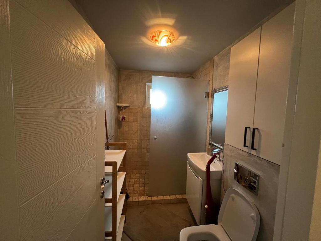 a small bathroom with a toilet and a sink at Apartament spatios, mobilat si utilat complet in Floreşti