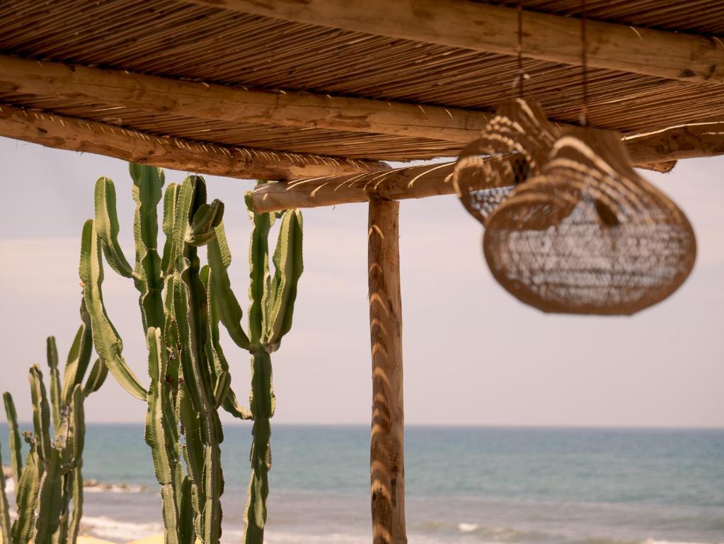 a cactus and a chandelier in front of the beach at Baia Del Sole Resort in Capo Vaticano