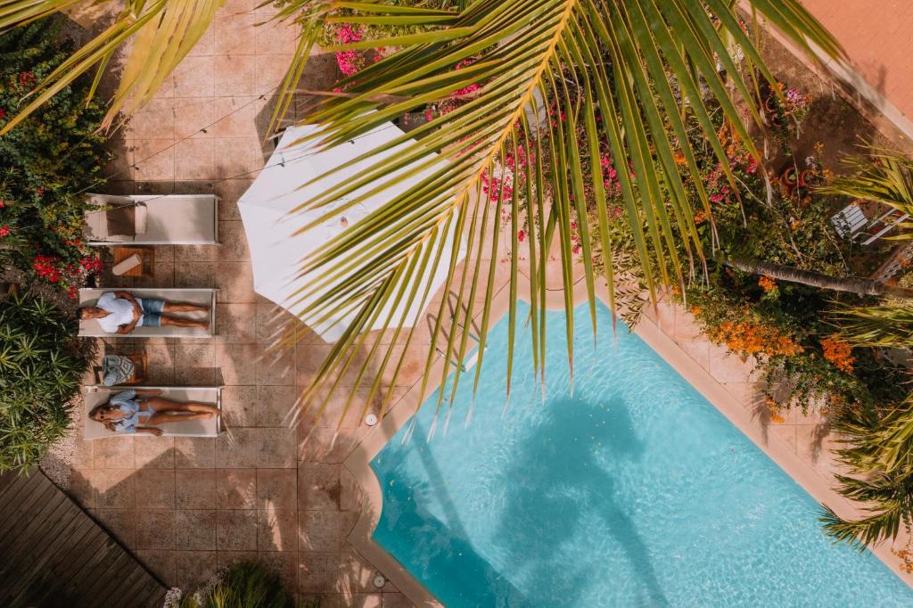 Bazén v ubytování Paradera Park Aruba nebo v jeho okolí