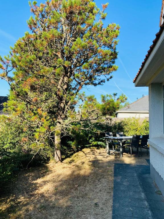 Zahrada ubytování Vakantiehuis Strandpieper