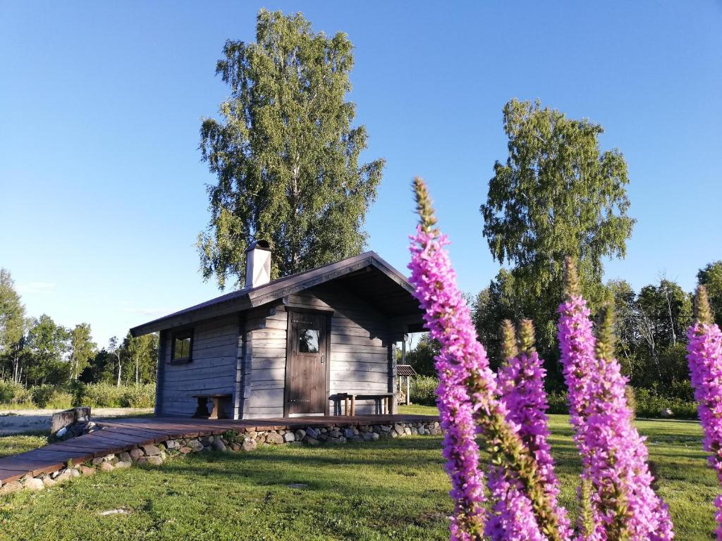 a cabin in a field with purple flowers at Mõiskla saun ja puhkemaja in Haapsalu