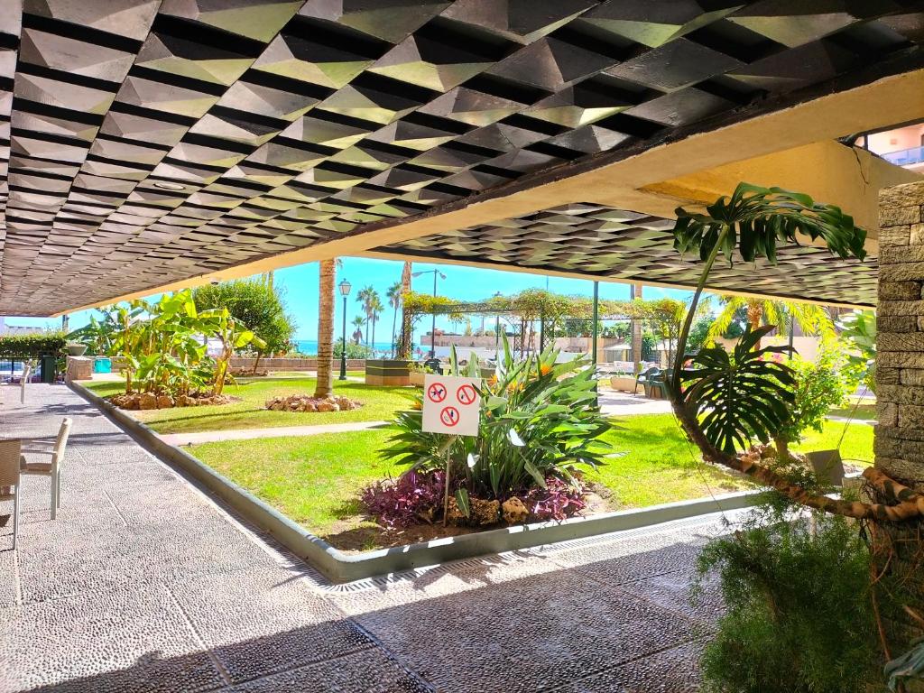 Ogród w obiekcie APARTAMENTO 1ª LINEA PLAYA GARAJE PISCINAS TERRAZA