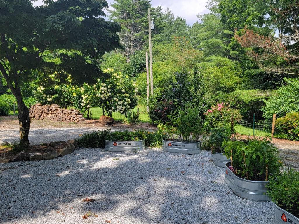 Zahrada ubytování McTernan Manor