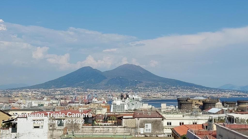 a view of a city with a mountain in the background at B&B Toledo Panoramic Rooftop with terrace in Naples