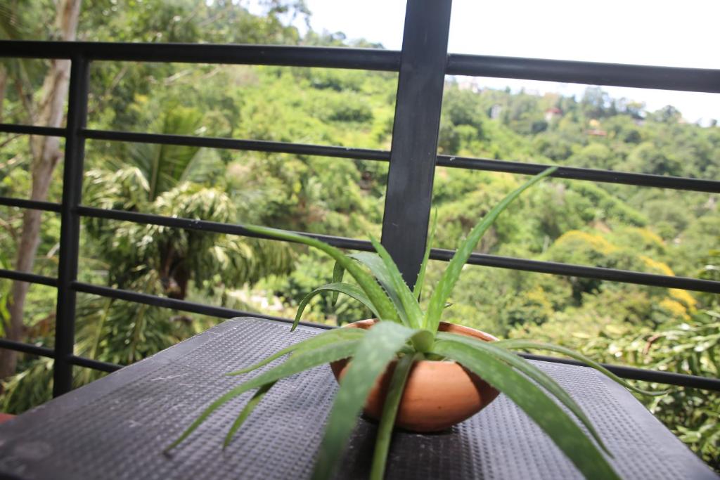 Rawana Mountain View Homestay - 7