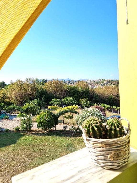 A garden outside SamisHouse