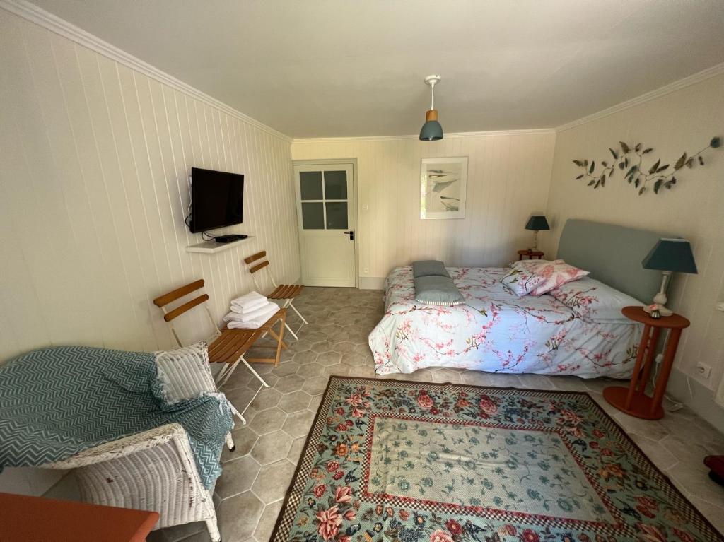 Schlafzimmer mit einem Bett, einem TV und einem Teppich in der Unterkunft Le logis de Lasteyrie in La Rochebeaucourt-et-Argentine