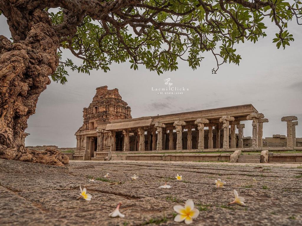 a building with a tree in front of it at TEMPLE VIEW GUEST HOUSE in Hampi